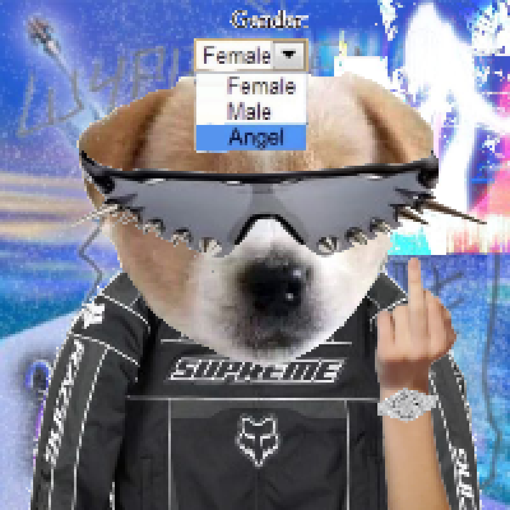 Collection cover image