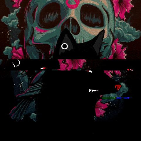 Collection cover image