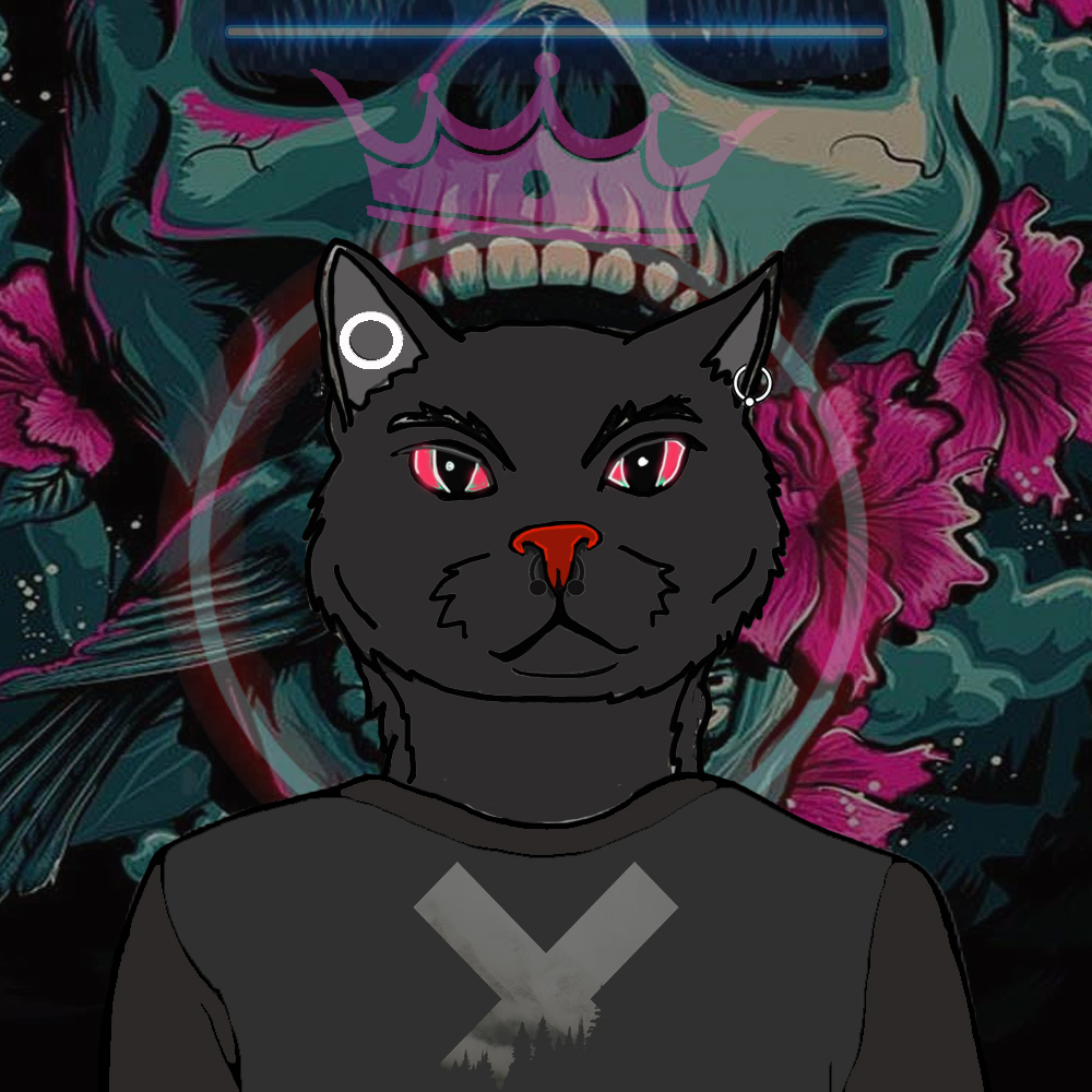 Collection cover image