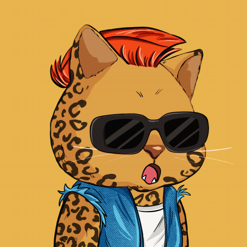 Collection cover image