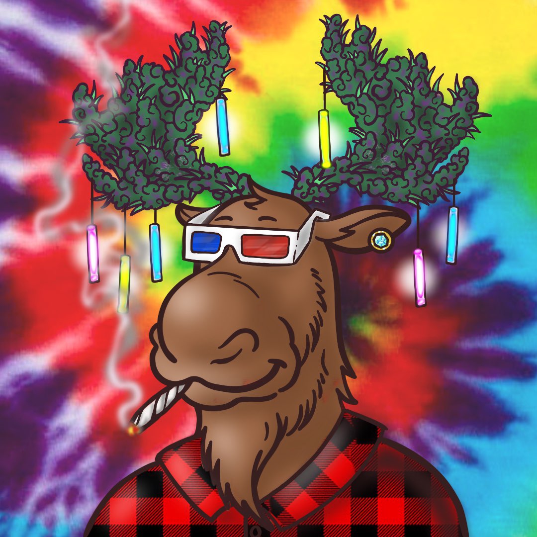 Collection cover image