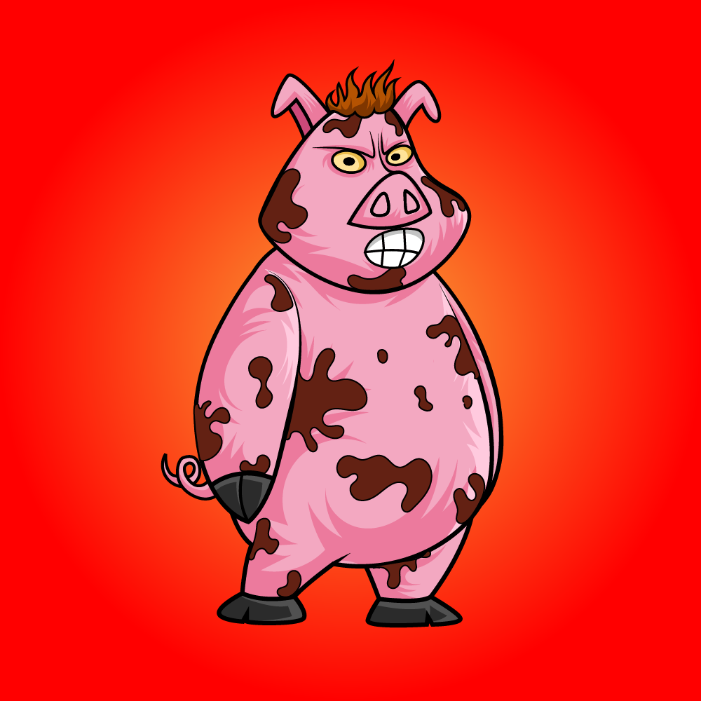 Collection cover image