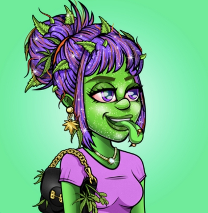 Collection cover image