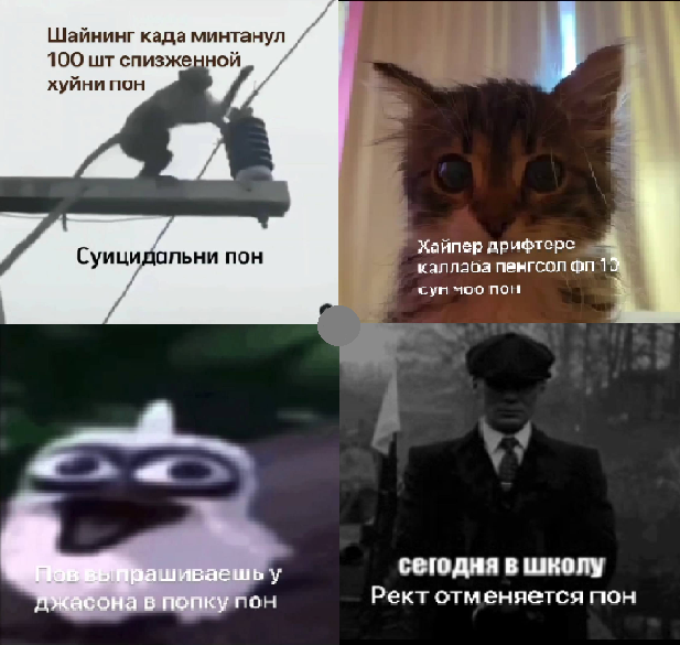 Collection cover image