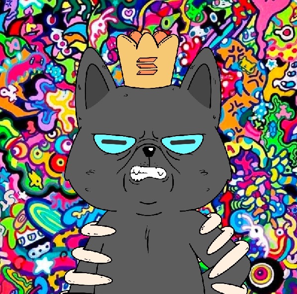 Collection cover image