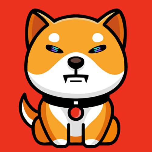 Collection cover image