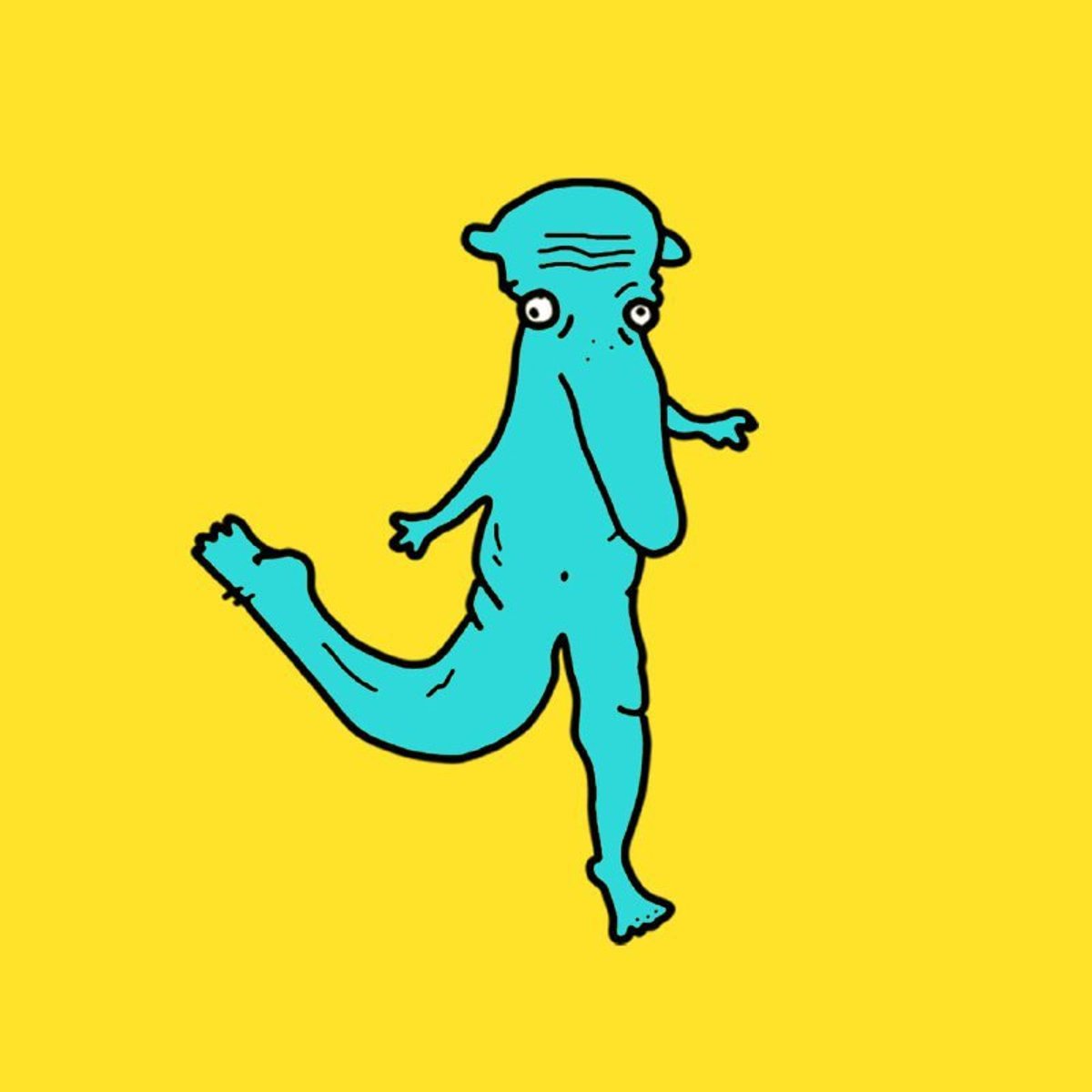 Collection cover image