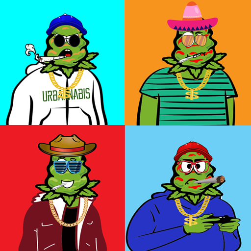 Collection cover image