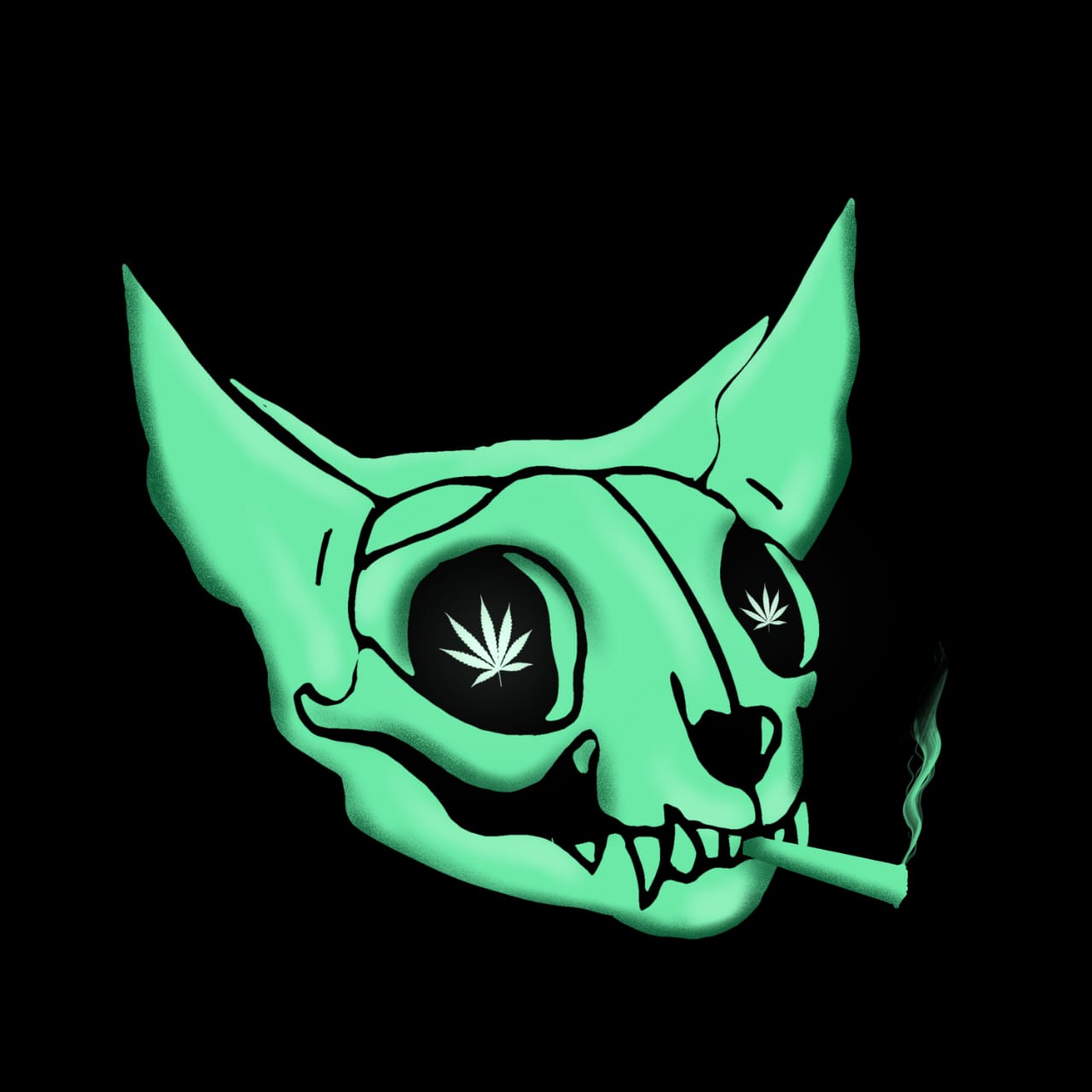 Collection cover image