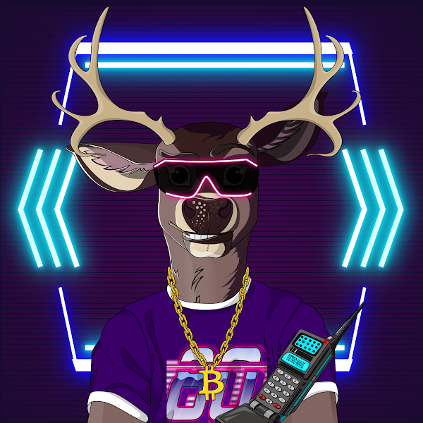 Collection cover image