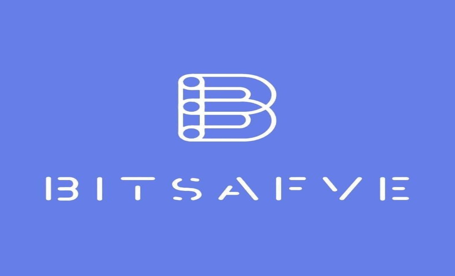 Bitsafve cover