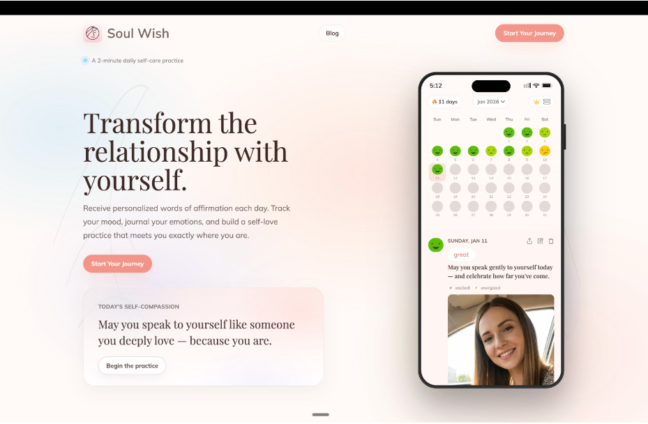 Soul Wish screenshot