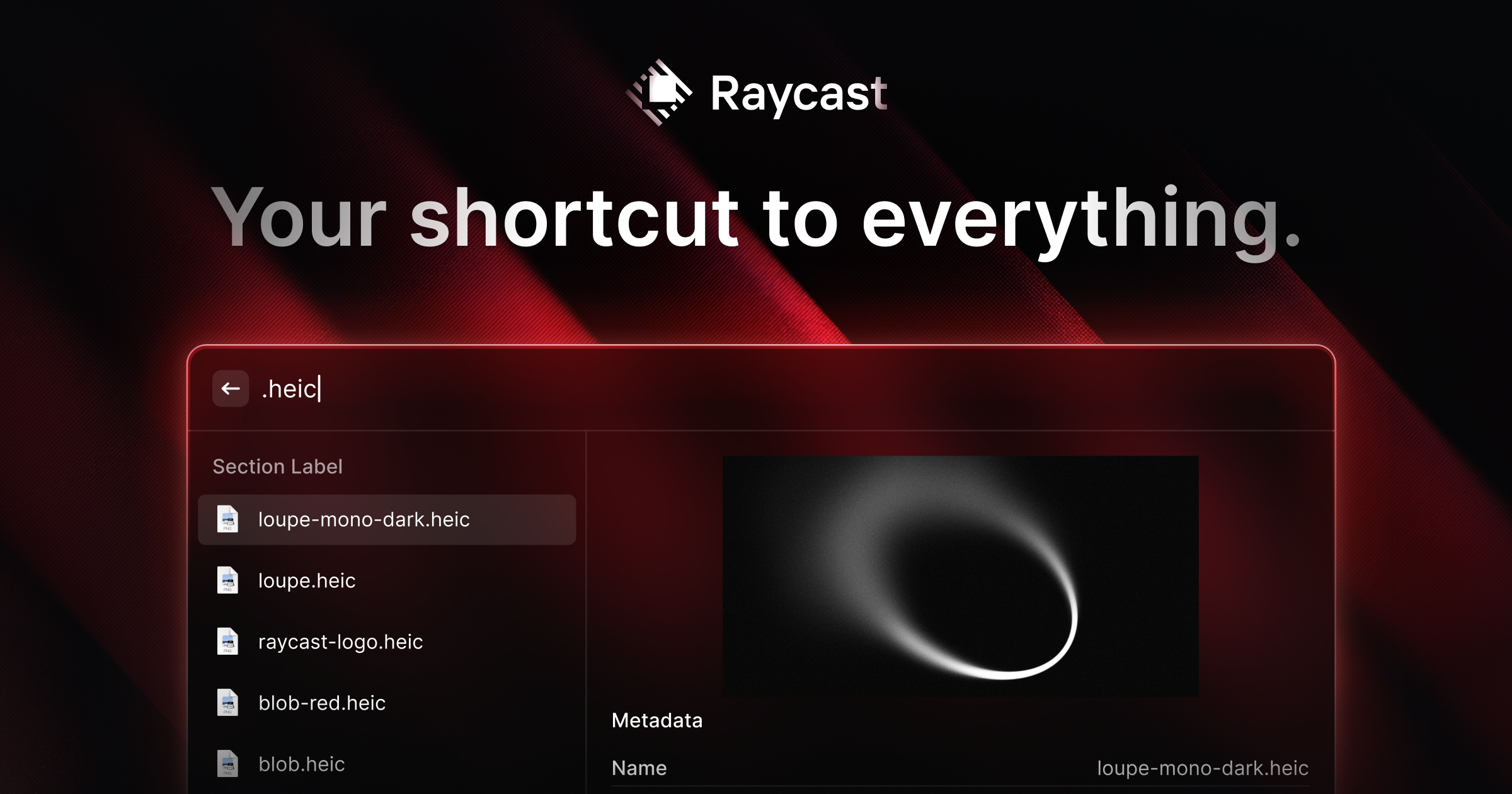 Raycast landing page preview