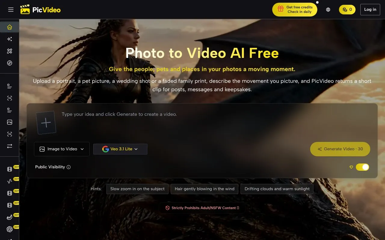 PicVideo homepage screenshot