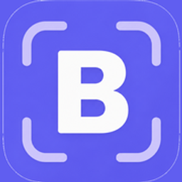 bulkimage.io logo