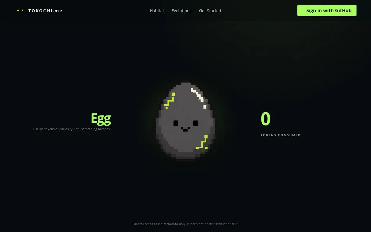 Tokochi homepage screenshot
