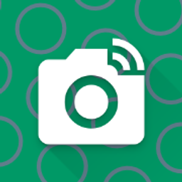 WebsiteScreenshot Online logo
