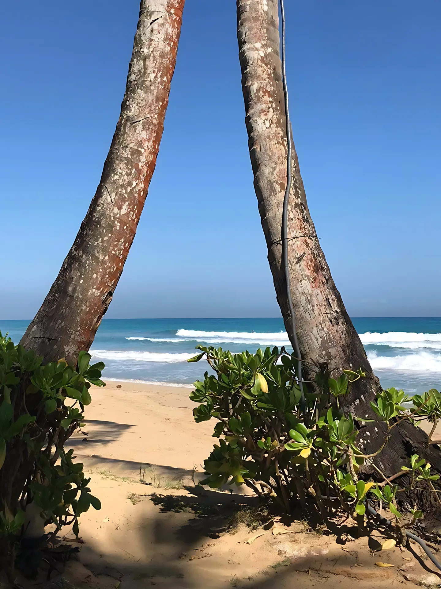 Preciosa villa en primera linea de playa en alquiler . En Cosón, Las  Terrenas. - Foto 14