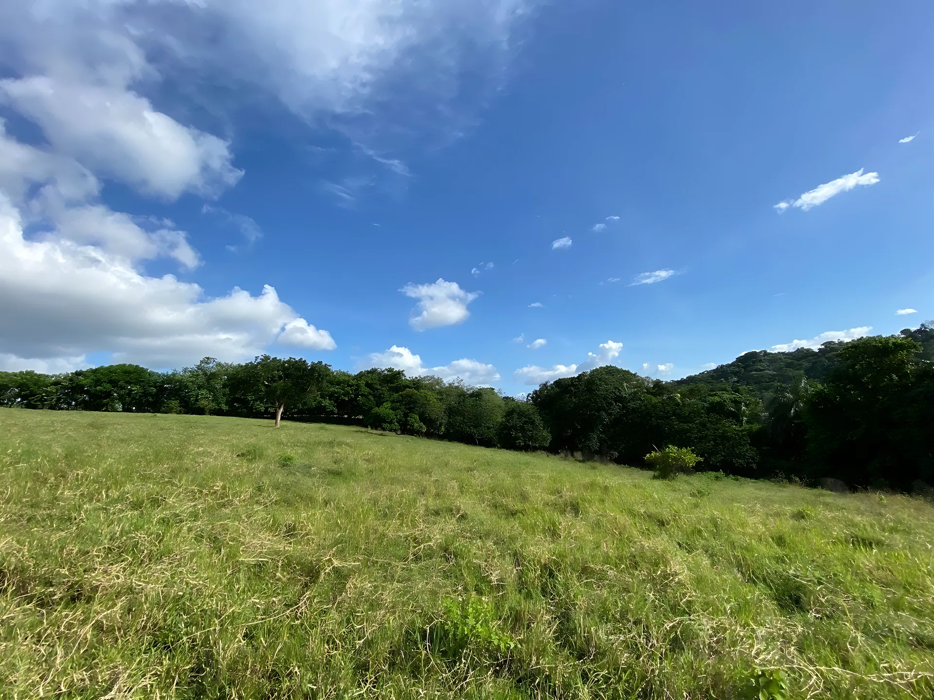 Total o parcial , terrenos en Autopista Duarte ! 671,593 .91 mts - Foto 3