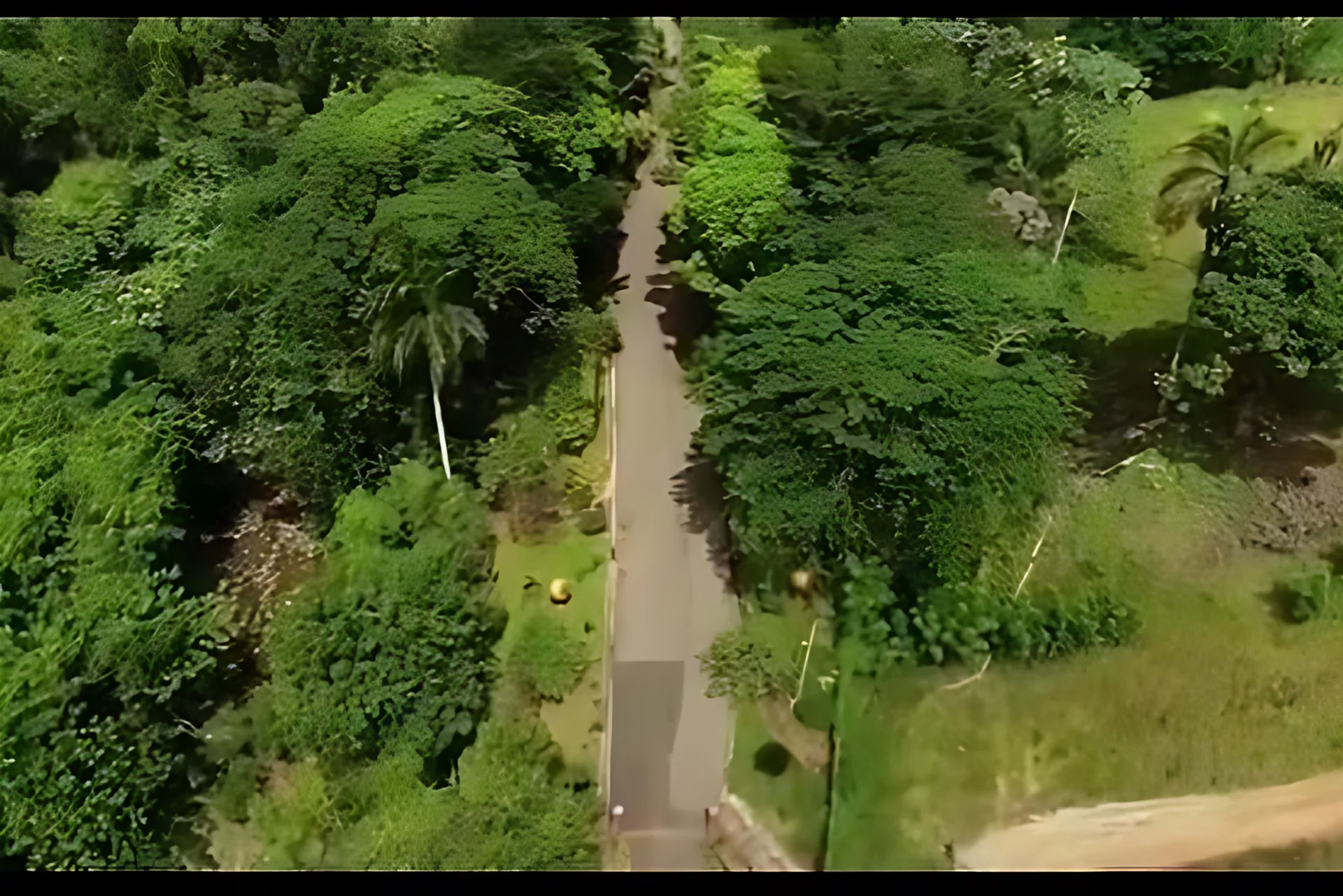 Venta de Finca en Bonao ! 144,000 mts . Lago , gazebo , árboles frutales ! - Foto 4