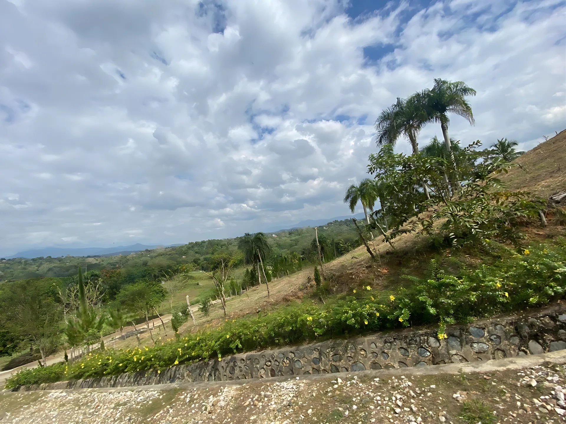 Finca / terreno en Villa Altagracia ! 580 tareas ! - Foto 4