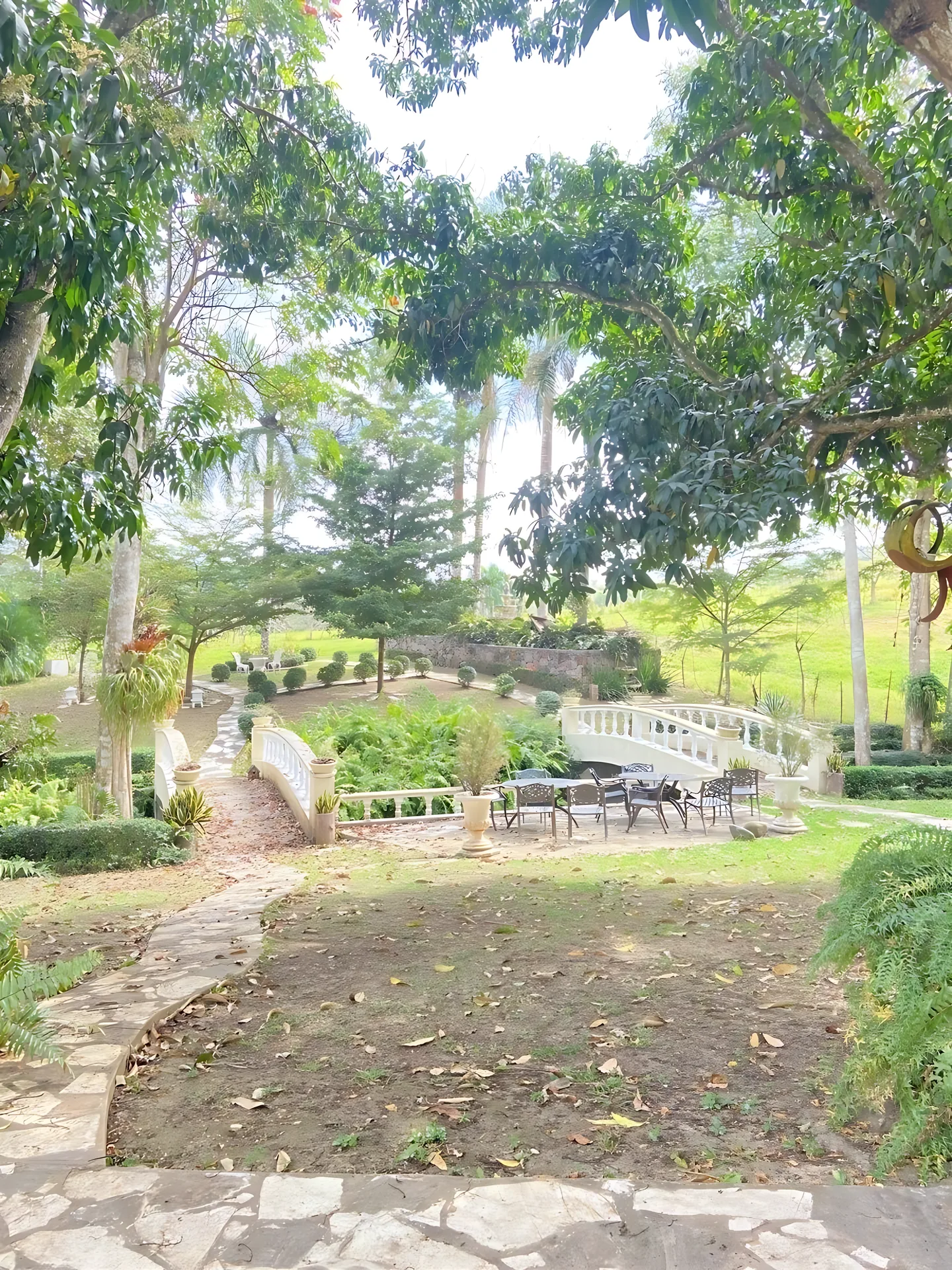 Finca / terreno en Villa Altagracia ! 580 tareas ! - Foto 5