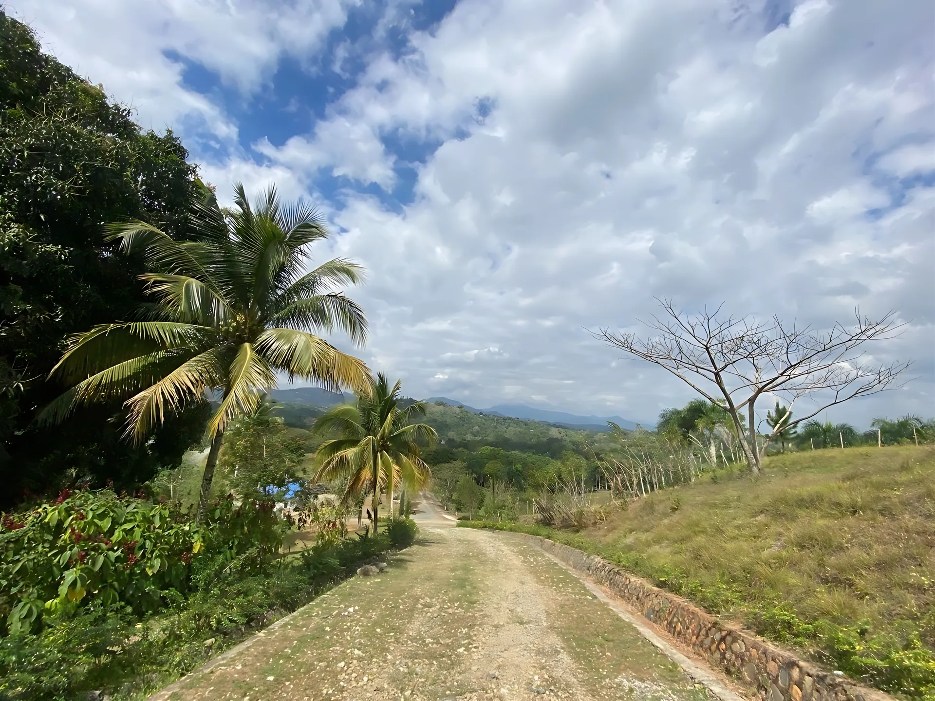 Finca / terreno en Villa Altagracia ! 580 tareas ! - Foto 9