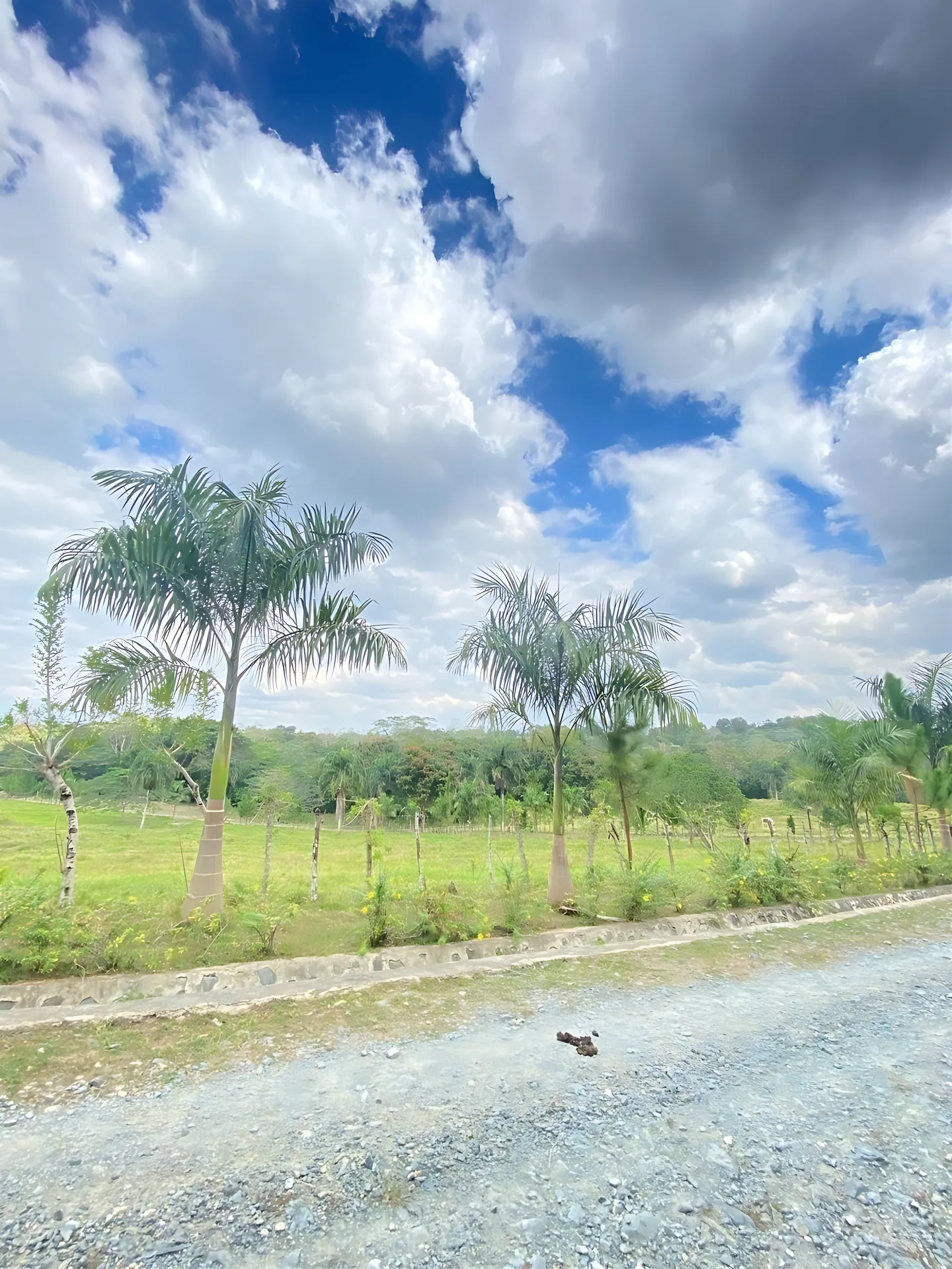 Finca / terreno en Villa Altagracia ! 580 tareas ! - Foto 13