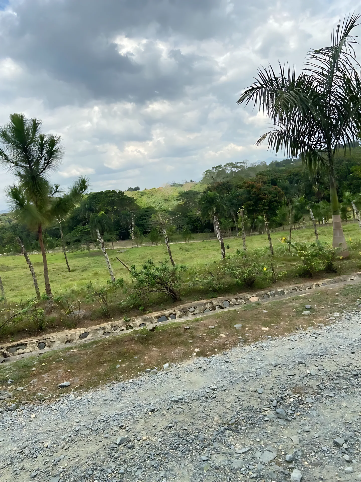 Finca / terreno en Villa Altagracia ! 580 tareas ! - Foto 14
