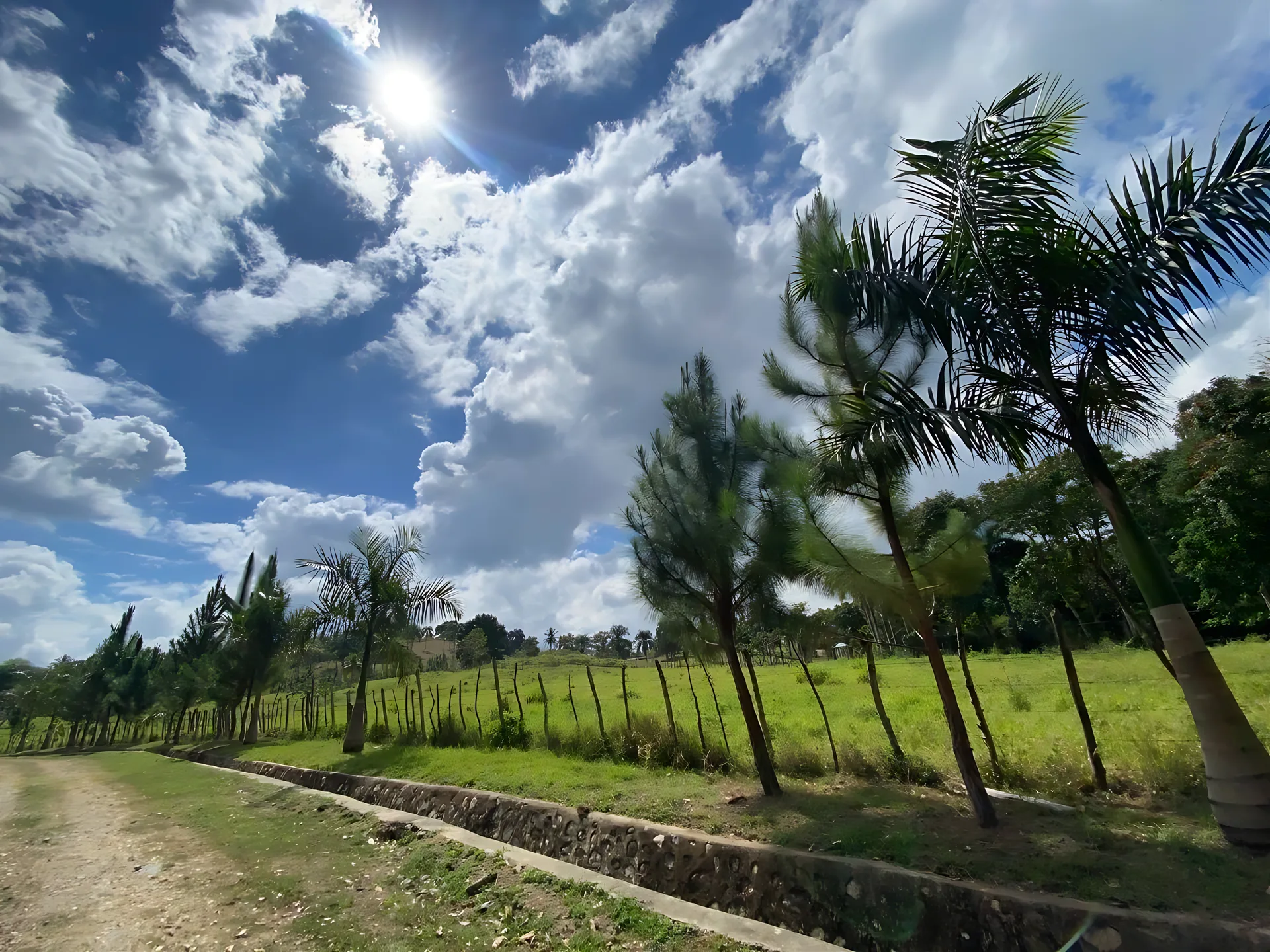 Finca / terreno en Villa Altagracia ! 580 tareas ! - Foto 18