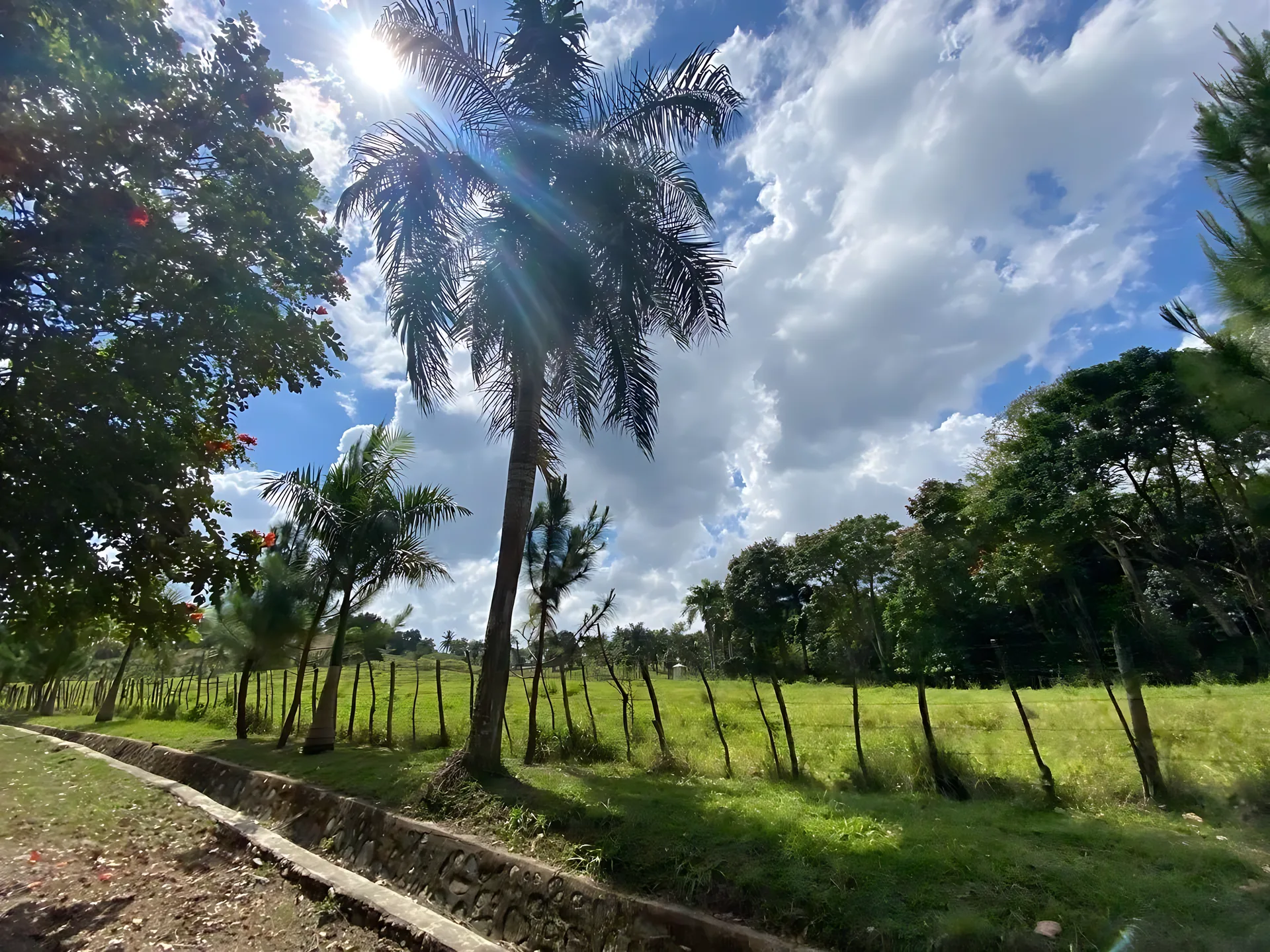 Finca / terreno en Villa Altagracia ! 580 tareas ! - Foto 19