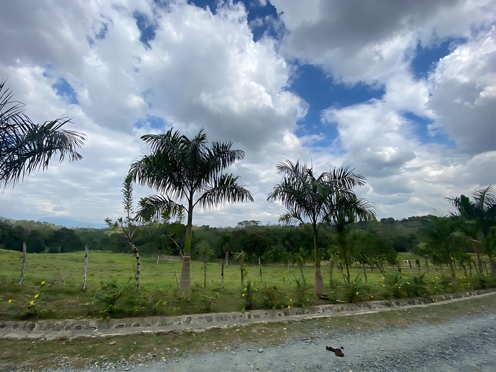 Finca / terreno en Villa Altagracia ! 580 tareas ! - Foto 22