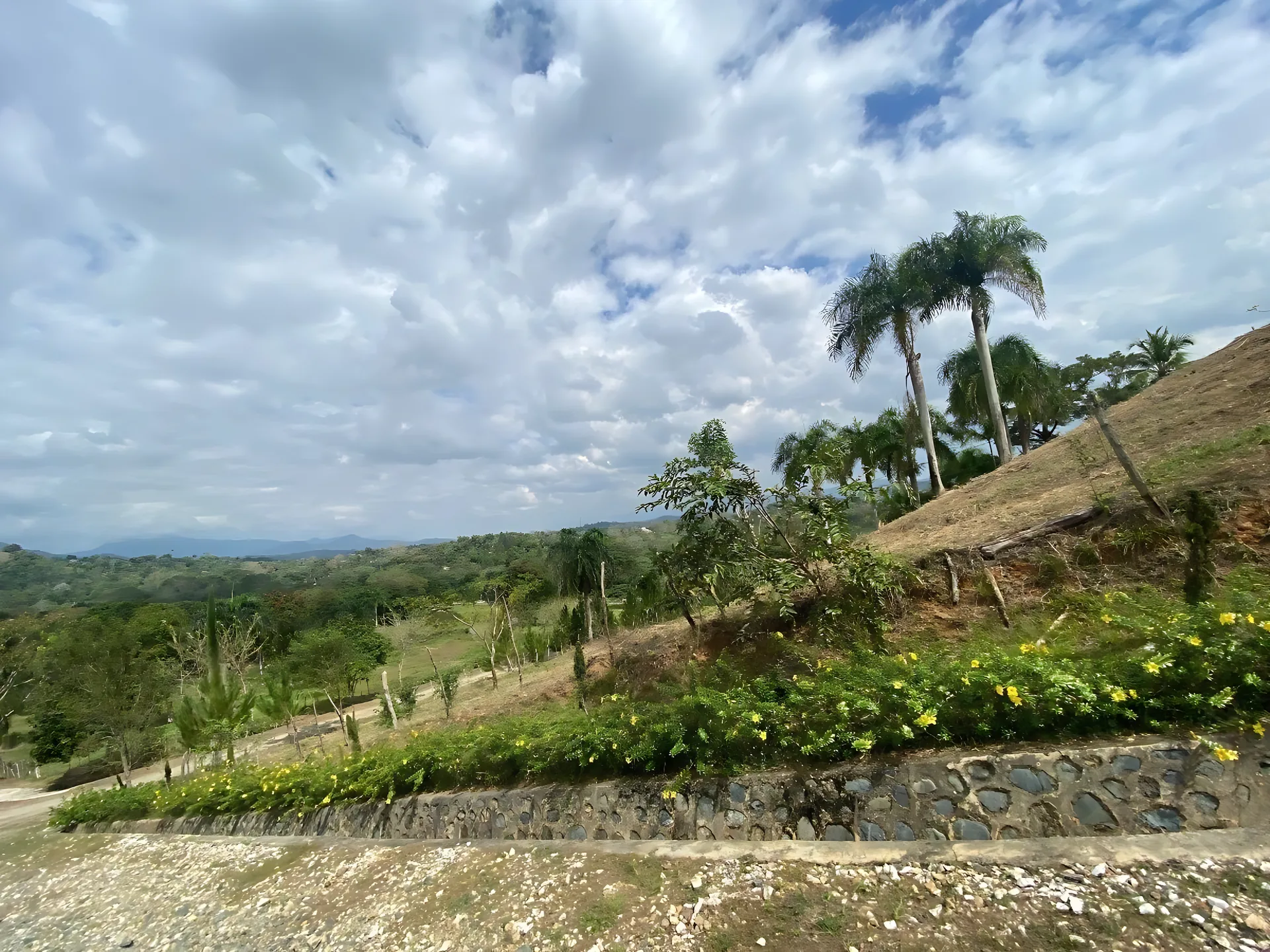Finca en Villa Altagracia ! - Foto 3