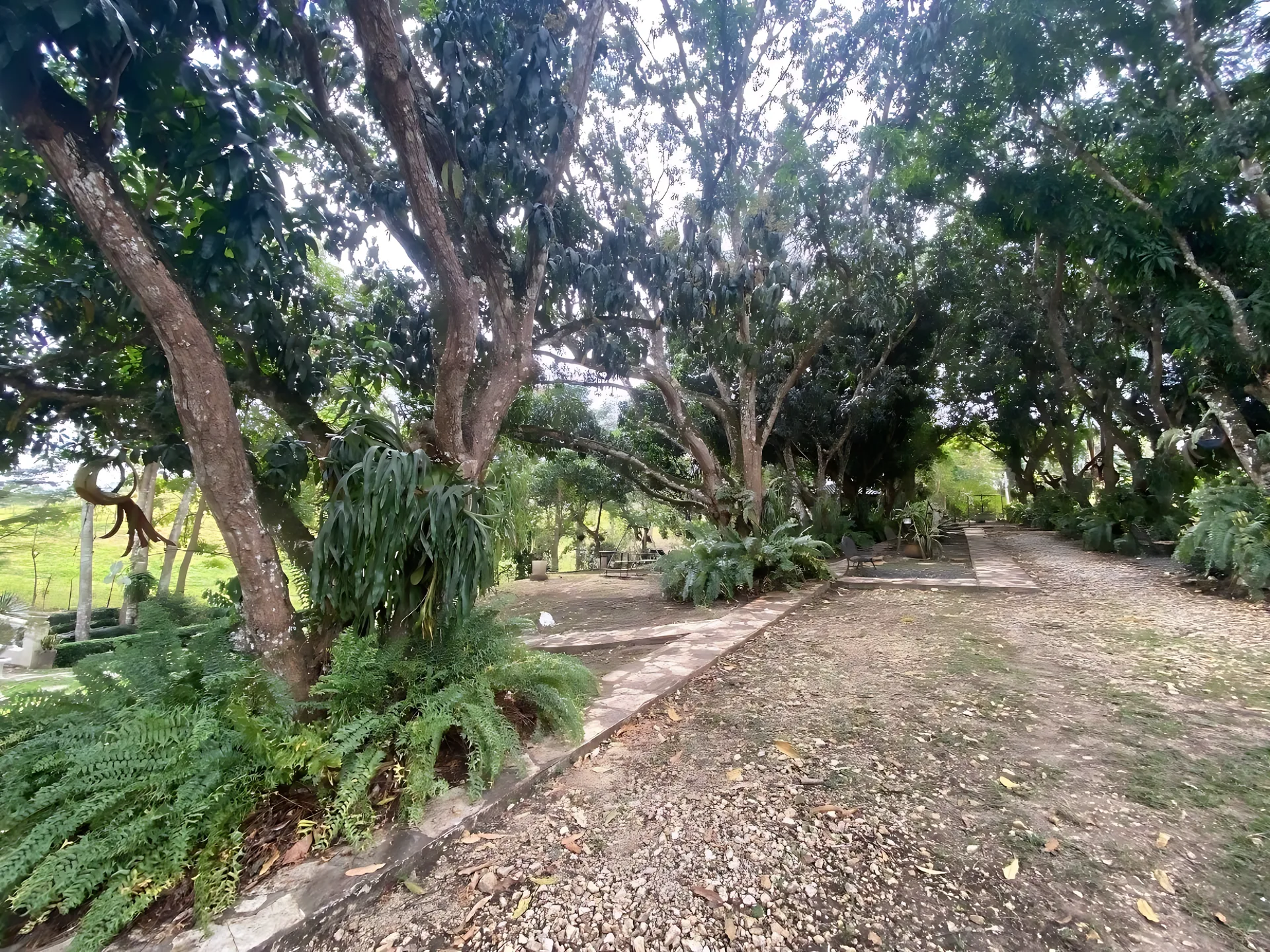 Finca en Villa Altagracia ! - Foto 6