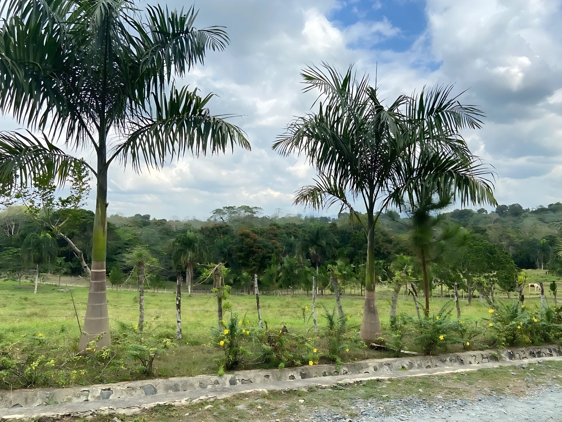 Finca en Villa Altagracia ! - Foto 9