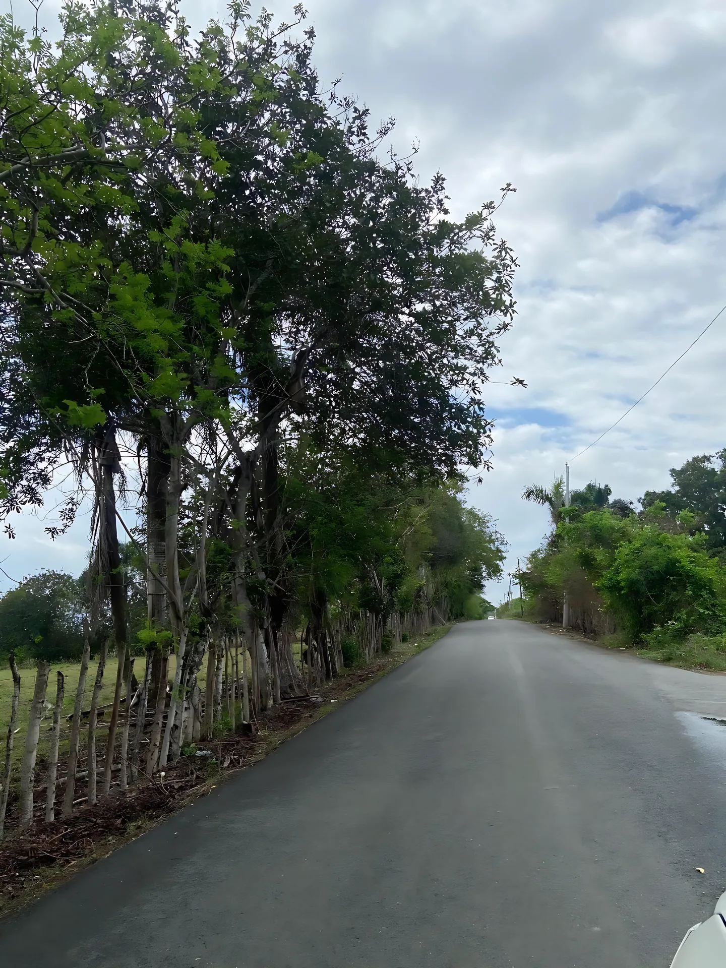 Terreno en venta muy prox. a la circunvalación de Santo Domingo Norte ! - Foto 4