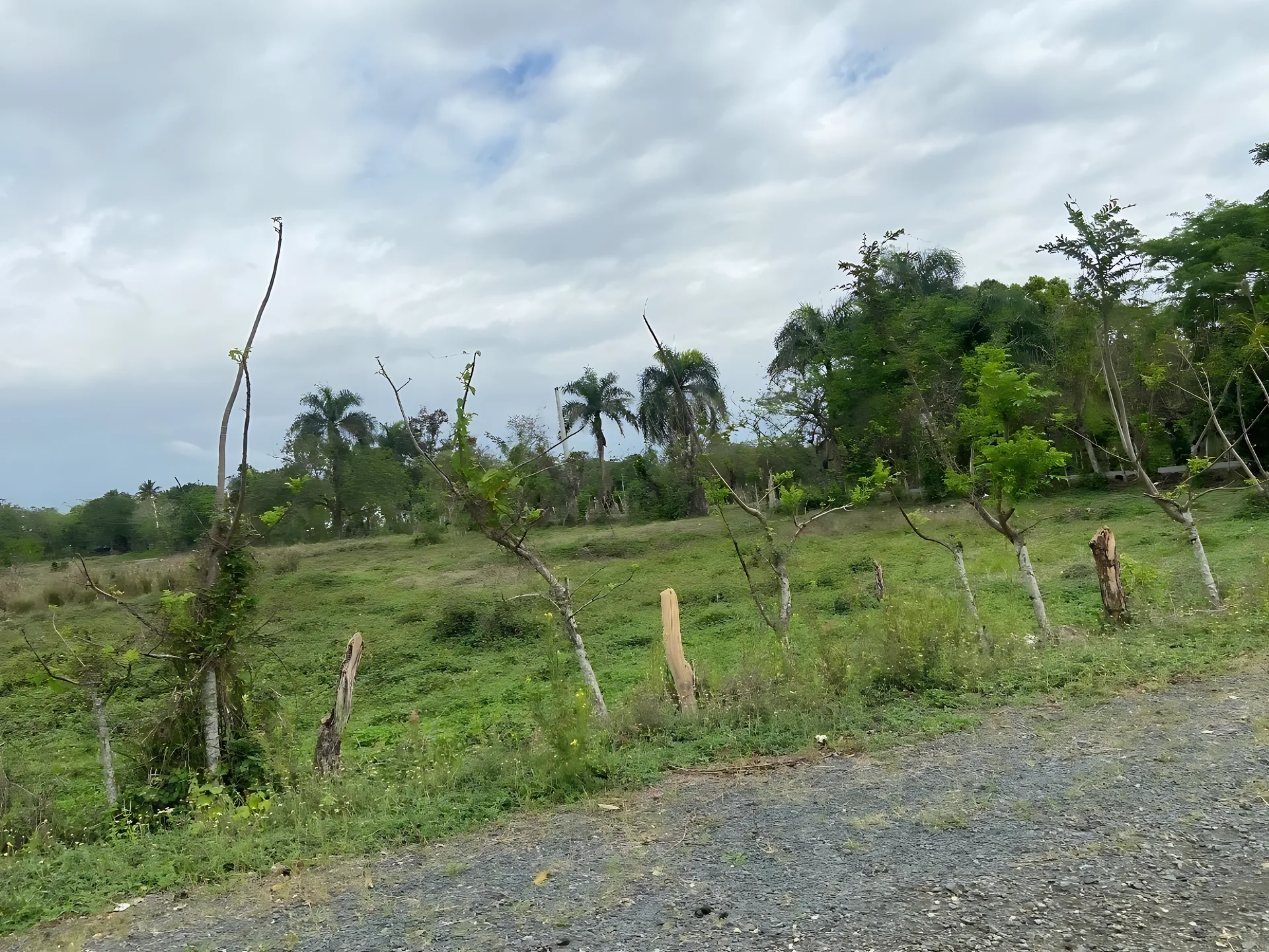Terreno en venta muy prox. a la circunvalación de Santo Domingo Norte ! - Foto 5