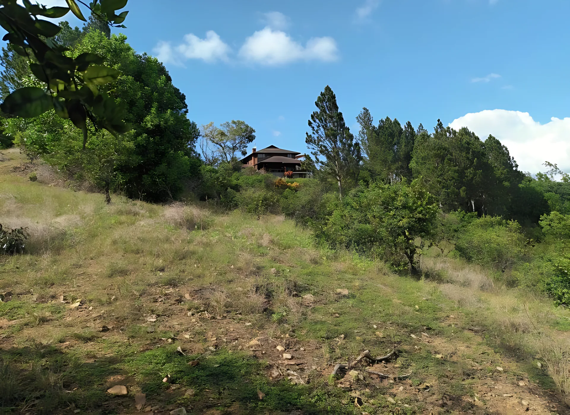Preciosa Villa Campestre  en Mata de plátano - Foto 3