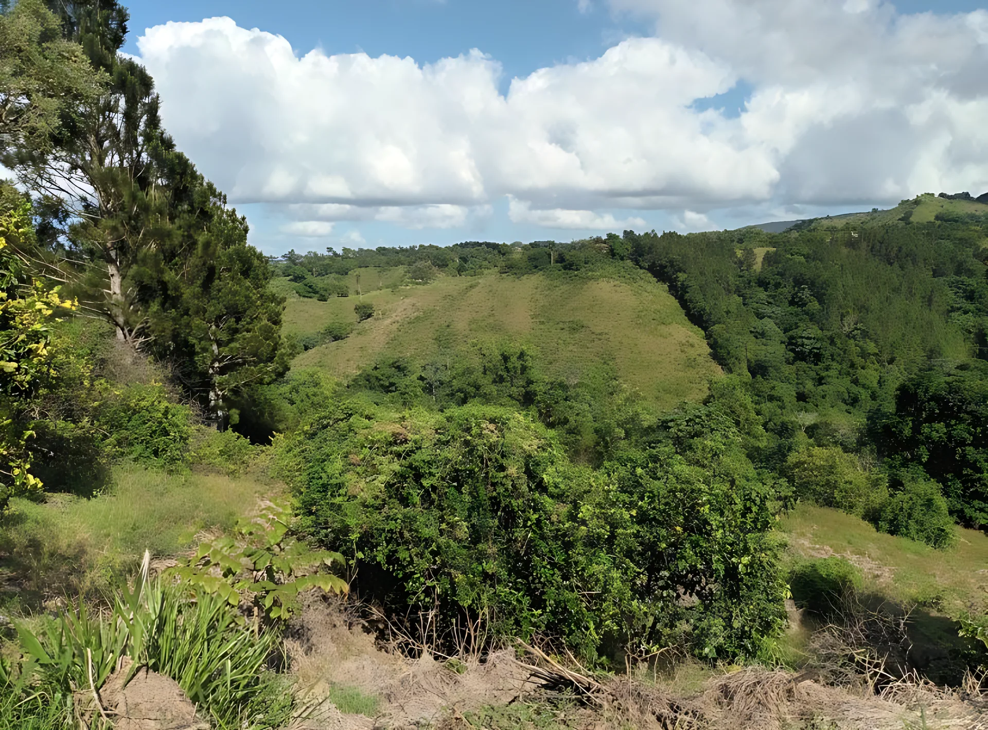 Preciosa Villa Campestre  en Mata de plátano - Foto 12