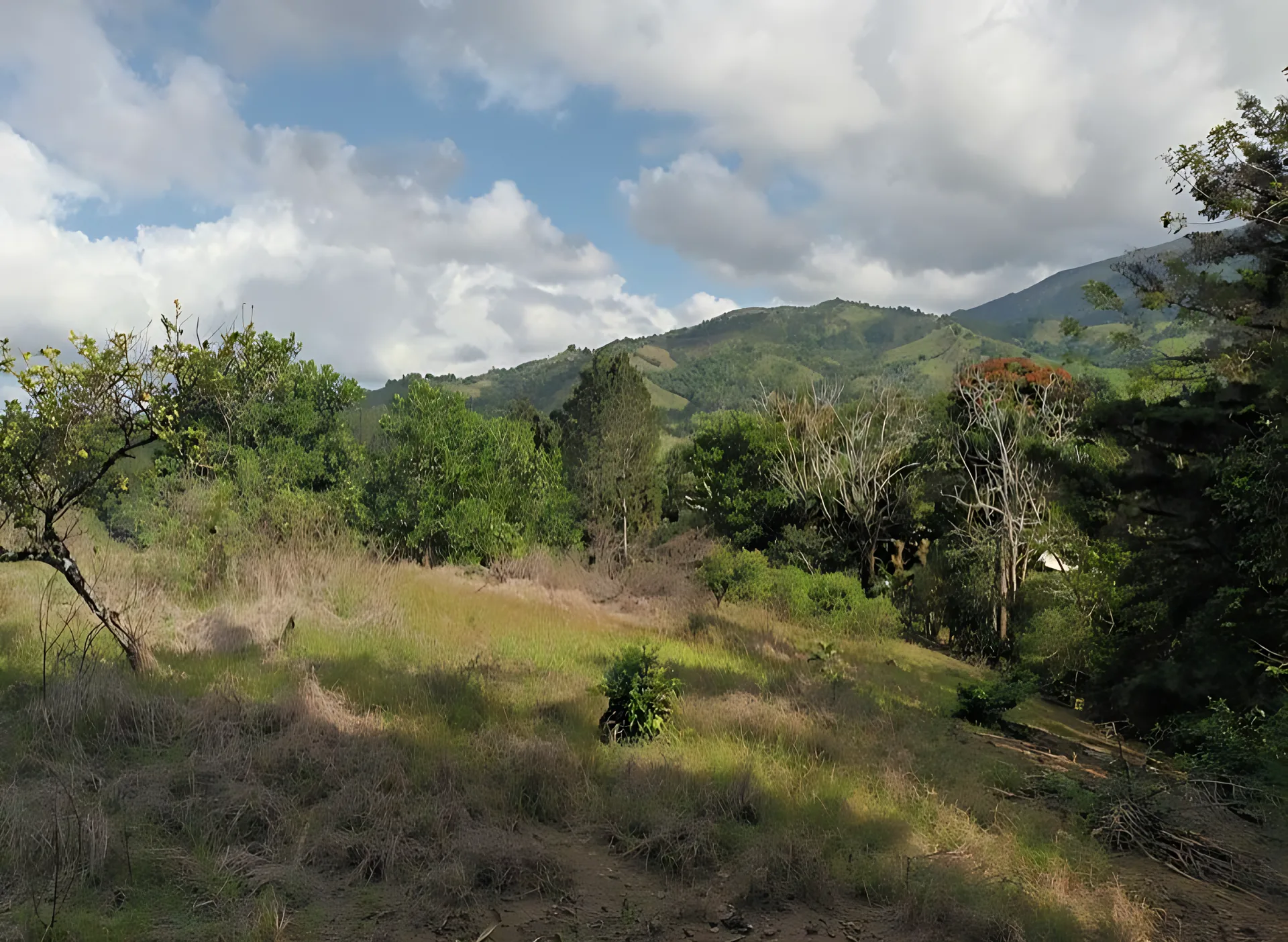 Preciosa Villa Campestre  en Mata de plátano - Foto 14