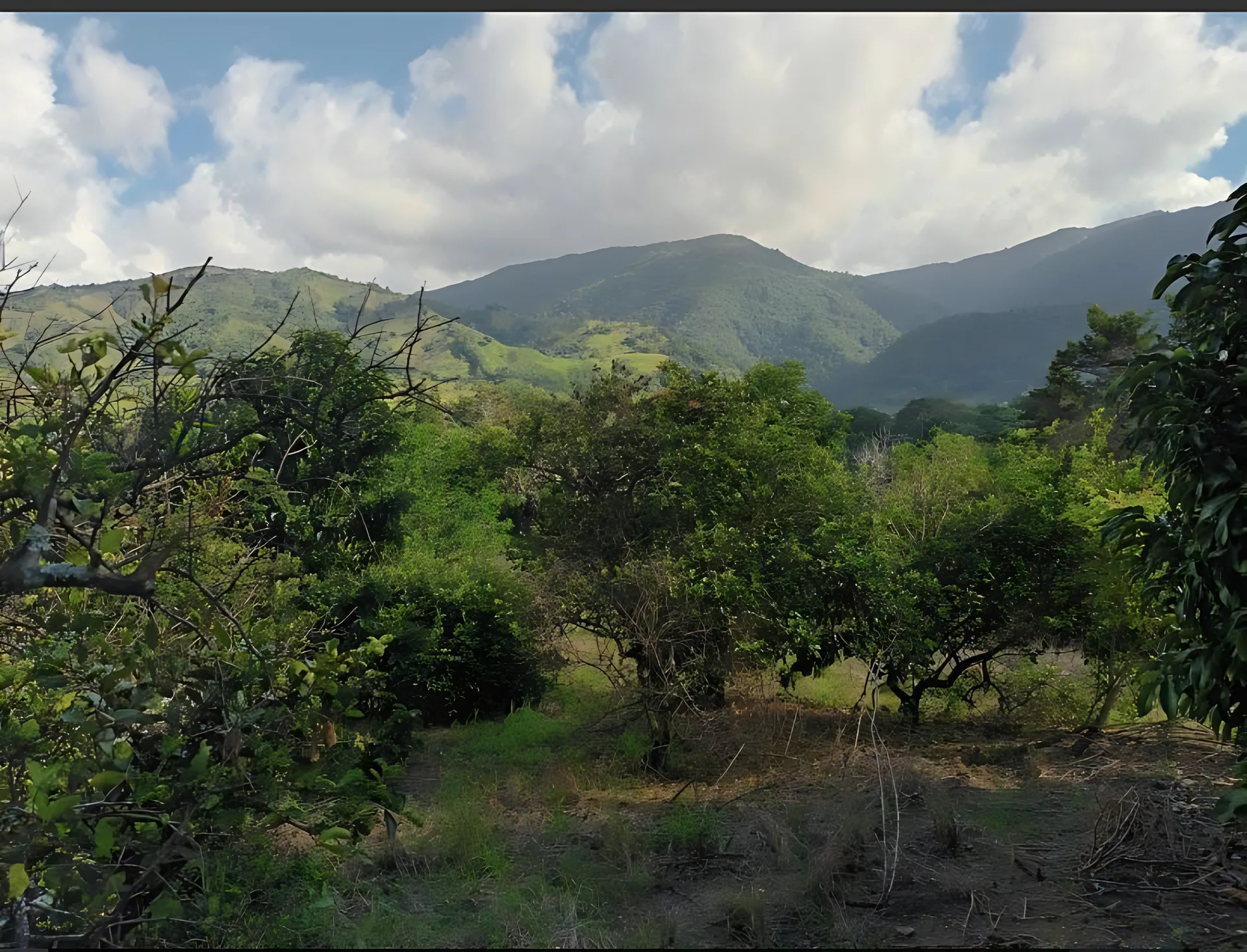Preciosa Villa Campestre  en Jarabacoa ,Mata de Platano . - Foto 13