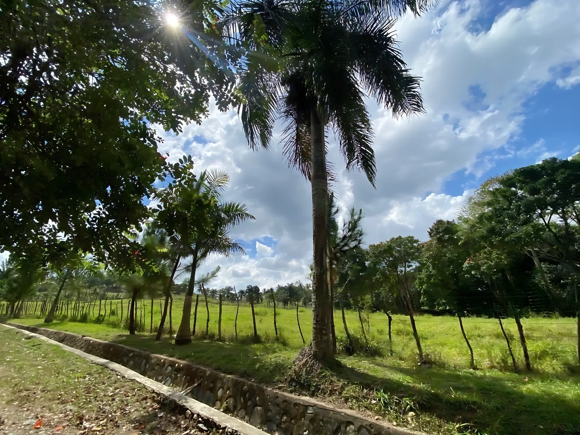 Terreno de 580 tareas  en Villa Altagracia ! - Foto 11