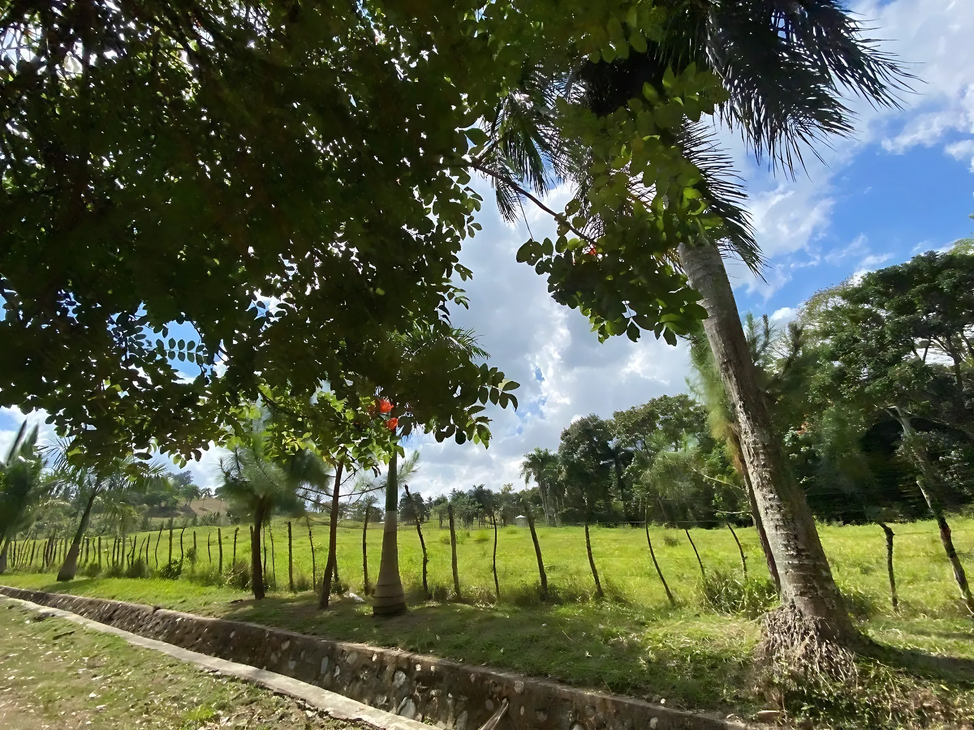 Terreno de 580 tareas  en Villa Altagracia ! - Foto 13