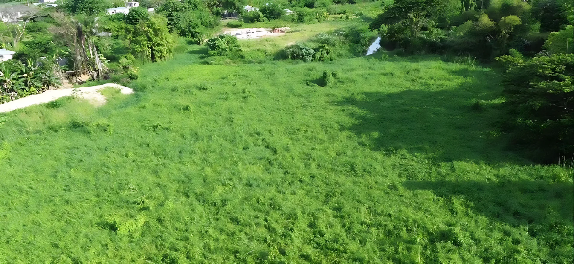 Terreno en Hato Nuevo ! Ideal para proyecto de vivienda , almacén , nave ! - View 3