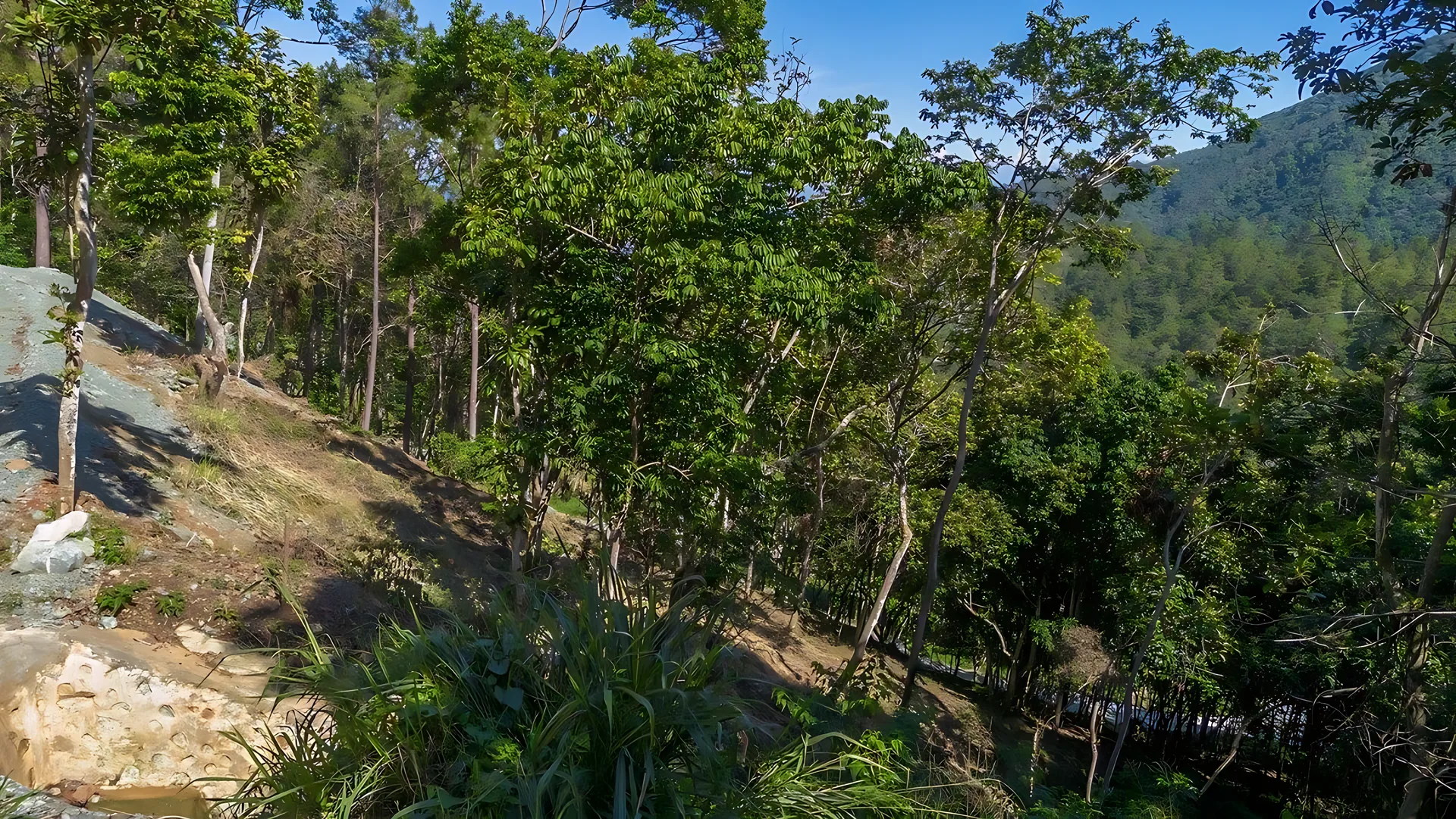 Terreno en Jarabacoa ! Dentro del exclusivo proyecto Quintas del Bosque - Foto 3