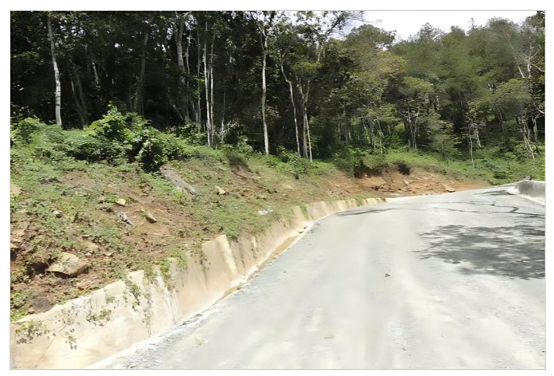 Terreno en Jarabacoa ! Dentro del exclusivo proyecto Quintas del Bosque - Foto 2