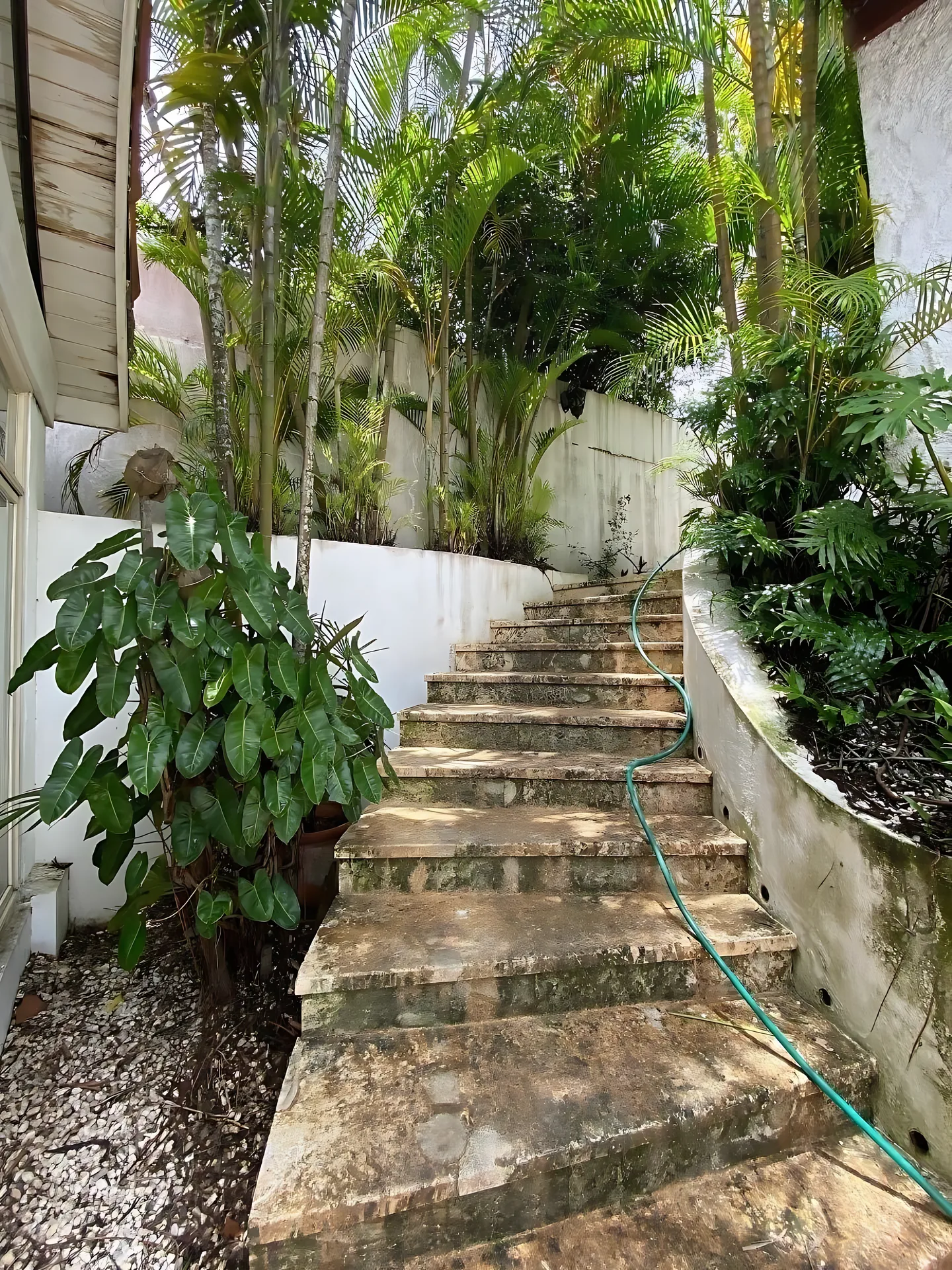 Para remodelar ! En viejo Arroyo Hondo ! - Foto 22