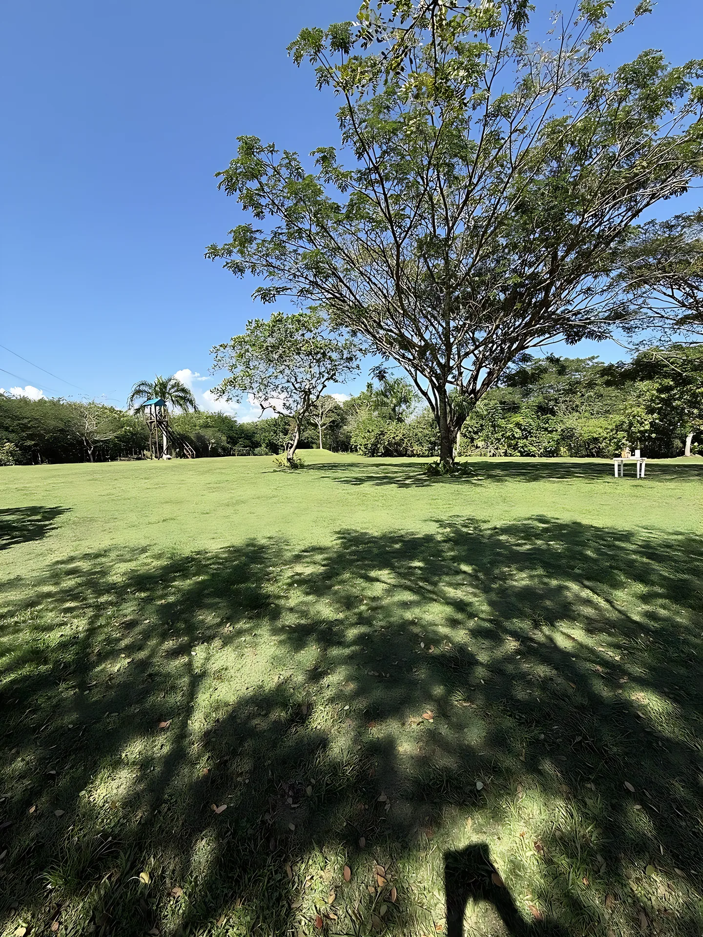 Preciosa finca vacacional y de recreo en venta. A solo 45 minutos de la ciudad. - View 3