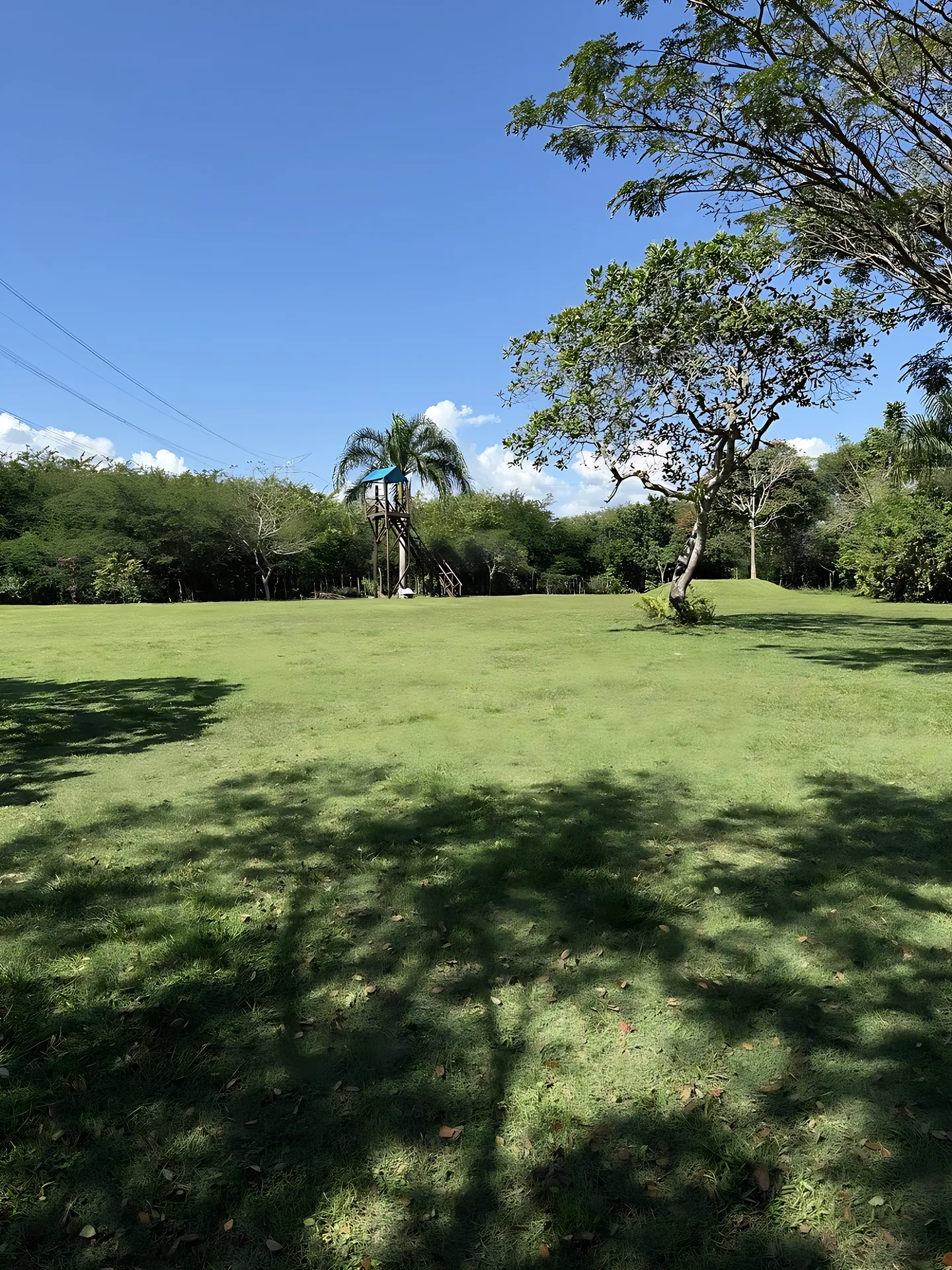 Preciosa finca vacacional y de recreo en venta. A solo 45 minutos de la ciudad. - Foto 9