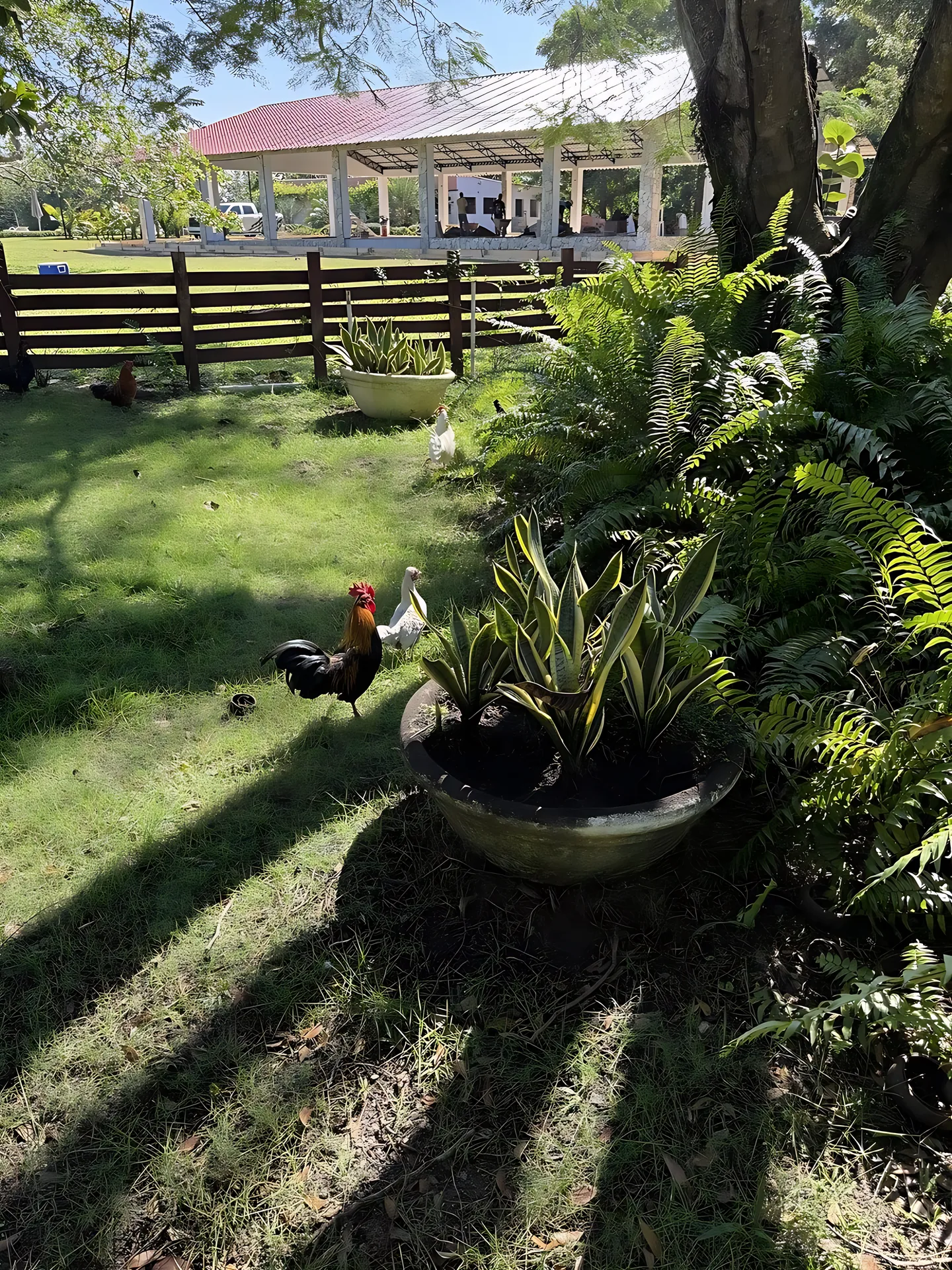 Preciosa finca vacacional y de recreo en venta. A solo 45 minutos de la ciudad. - Foto 16
